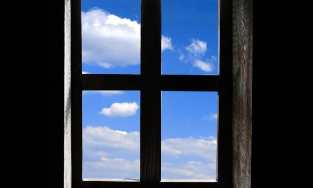 Best window treatments for your double-glazed windows