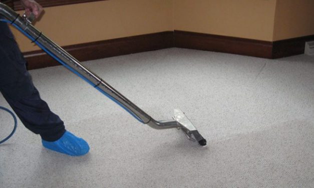 Why Hire Professional Carpet Cleaners